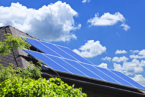 Absolute Solar Solutions Roos Electrical