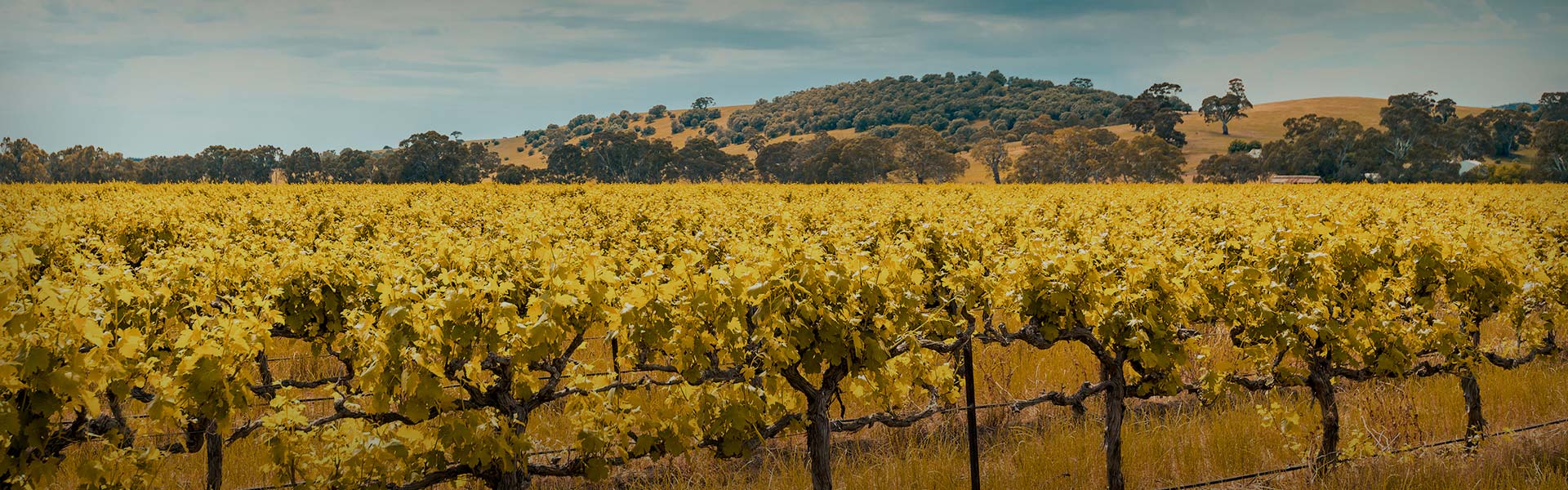 Environmentally conscious Roo's Electrical 